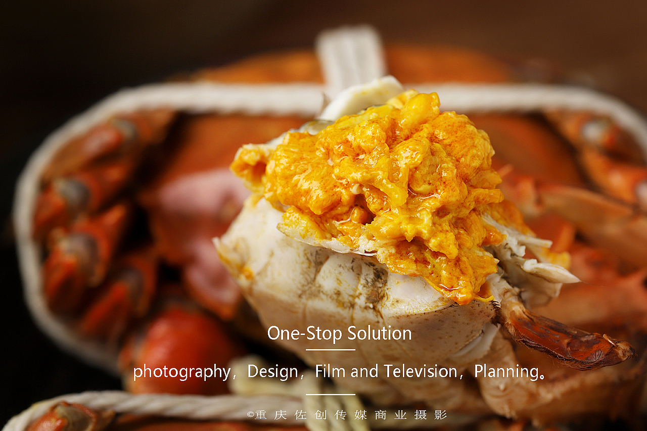 蟹之港 | 阳澄湖大闸蟹 | 佐创传媒