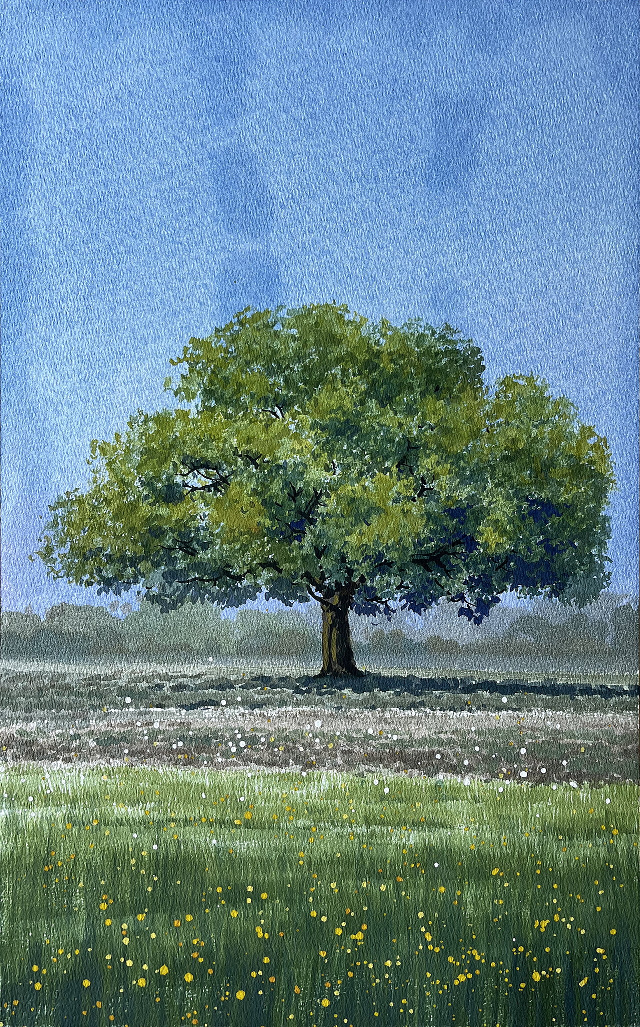 水彩风景——秋天,逃不过那棵树