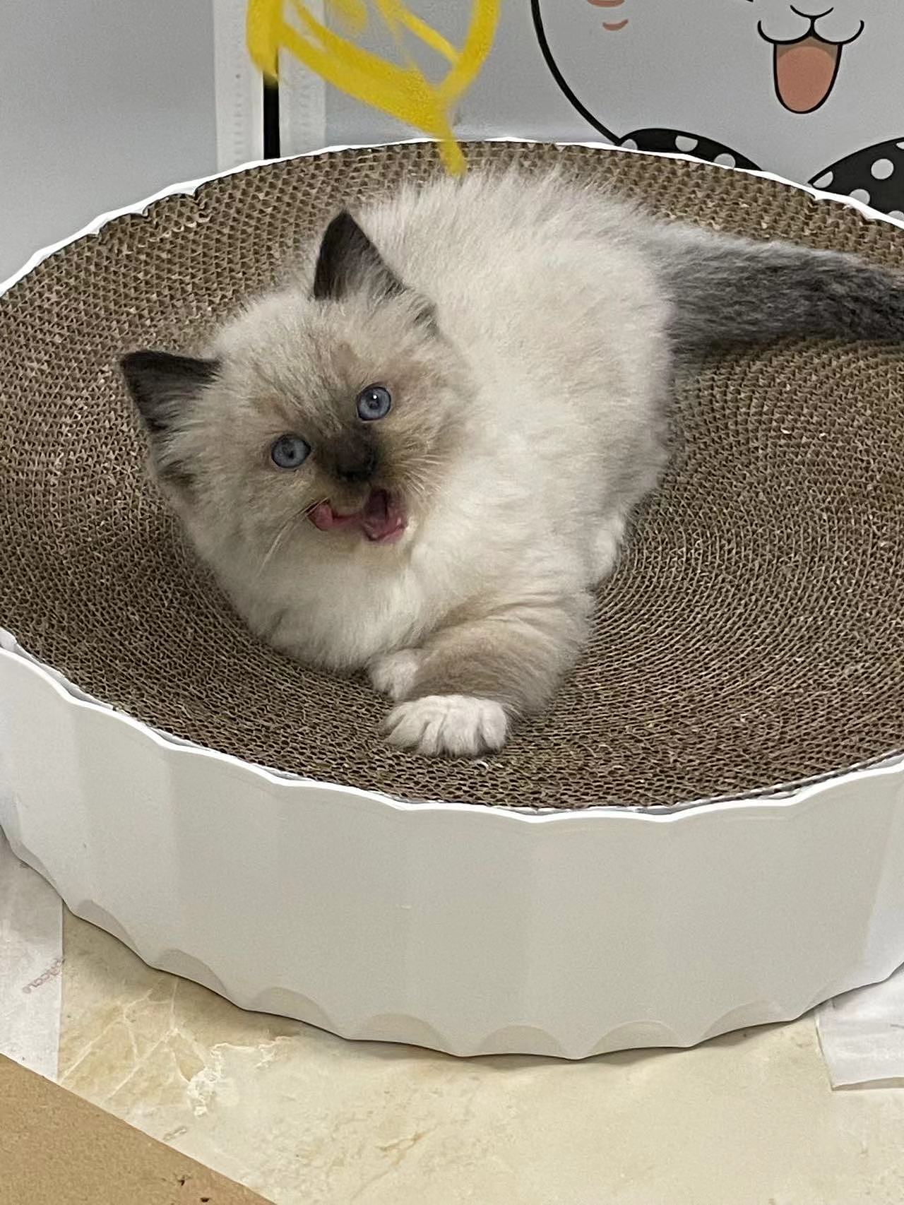 浴盆护理台视频渲染（图ZMzIyOTg3NjIw） - 产品 - 站酷设计师你是拐拐原创素材 - 站酷ZCOOL