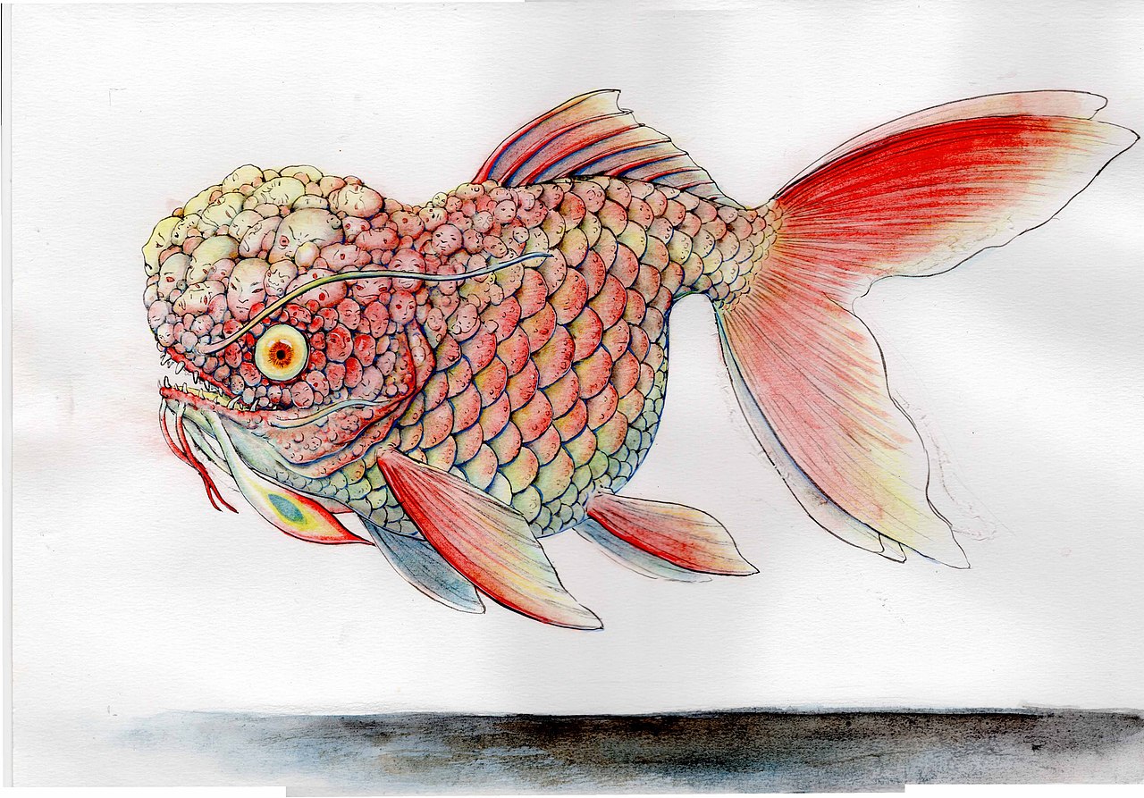 一些小精灵们（图ZMzI5MzY4ODky） - 艺术插画 - 站酷设计师画师昊渊原创素材 - 站酷ZCOOL