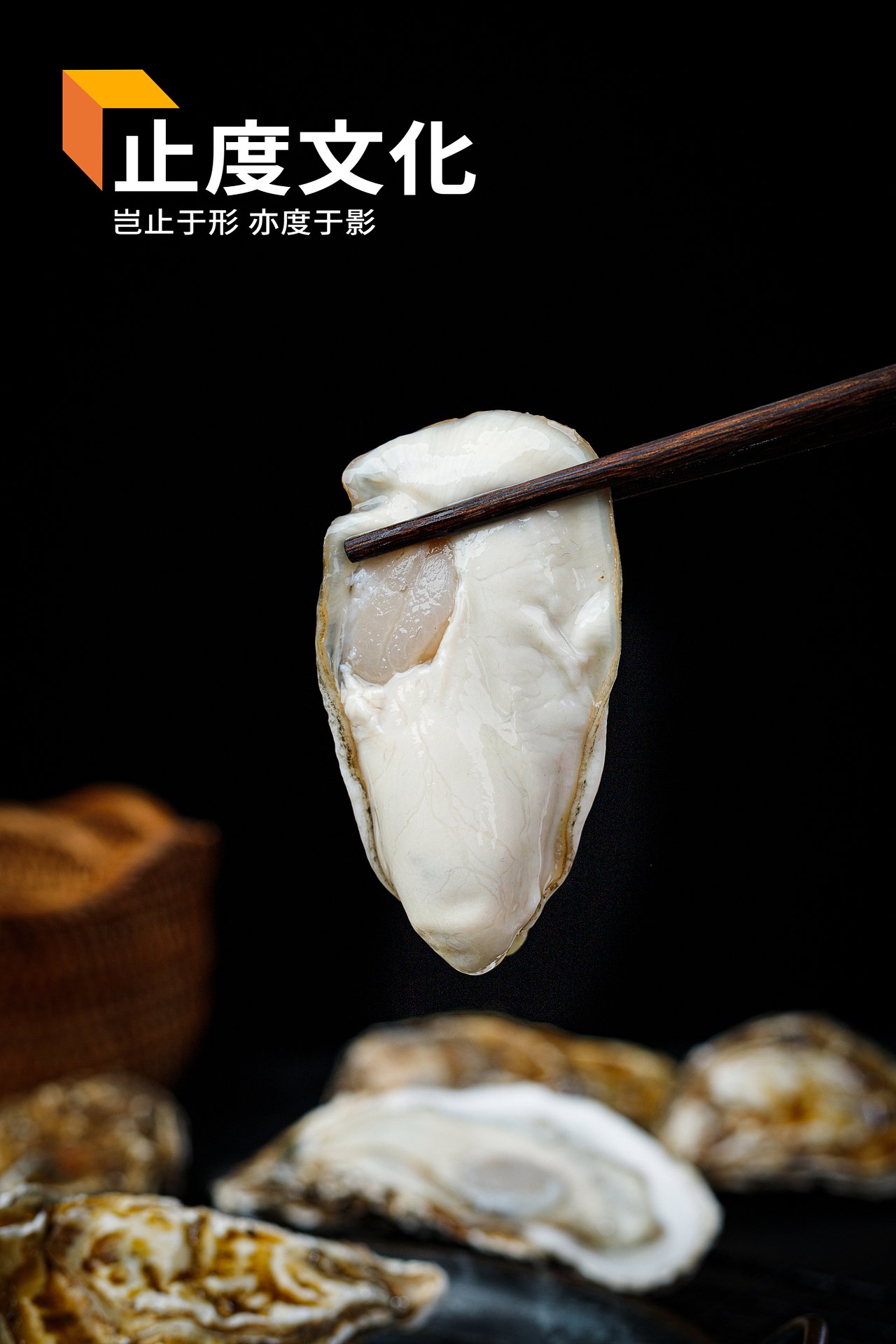 牡蛎 生蚝 海蛎子海鲜拍摄（图ZMzEzOTEyMTAw） - 美食摄影 - 站酷设计师止度文化原创素材 - 站酷ZCOOL