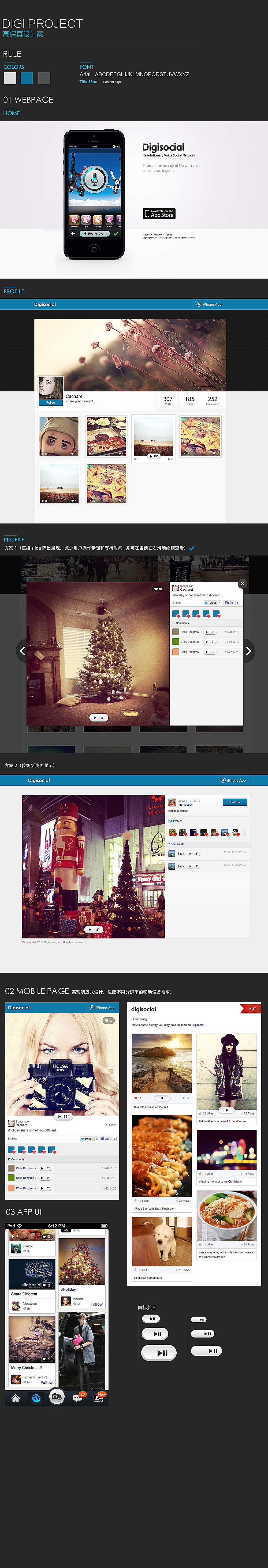 2012-2014海外Digisocal社交网站