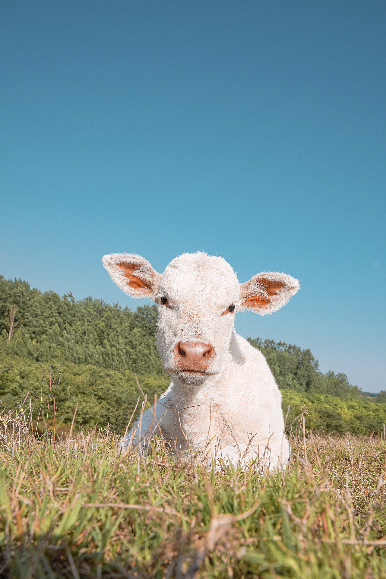 在田间,感受风的气息