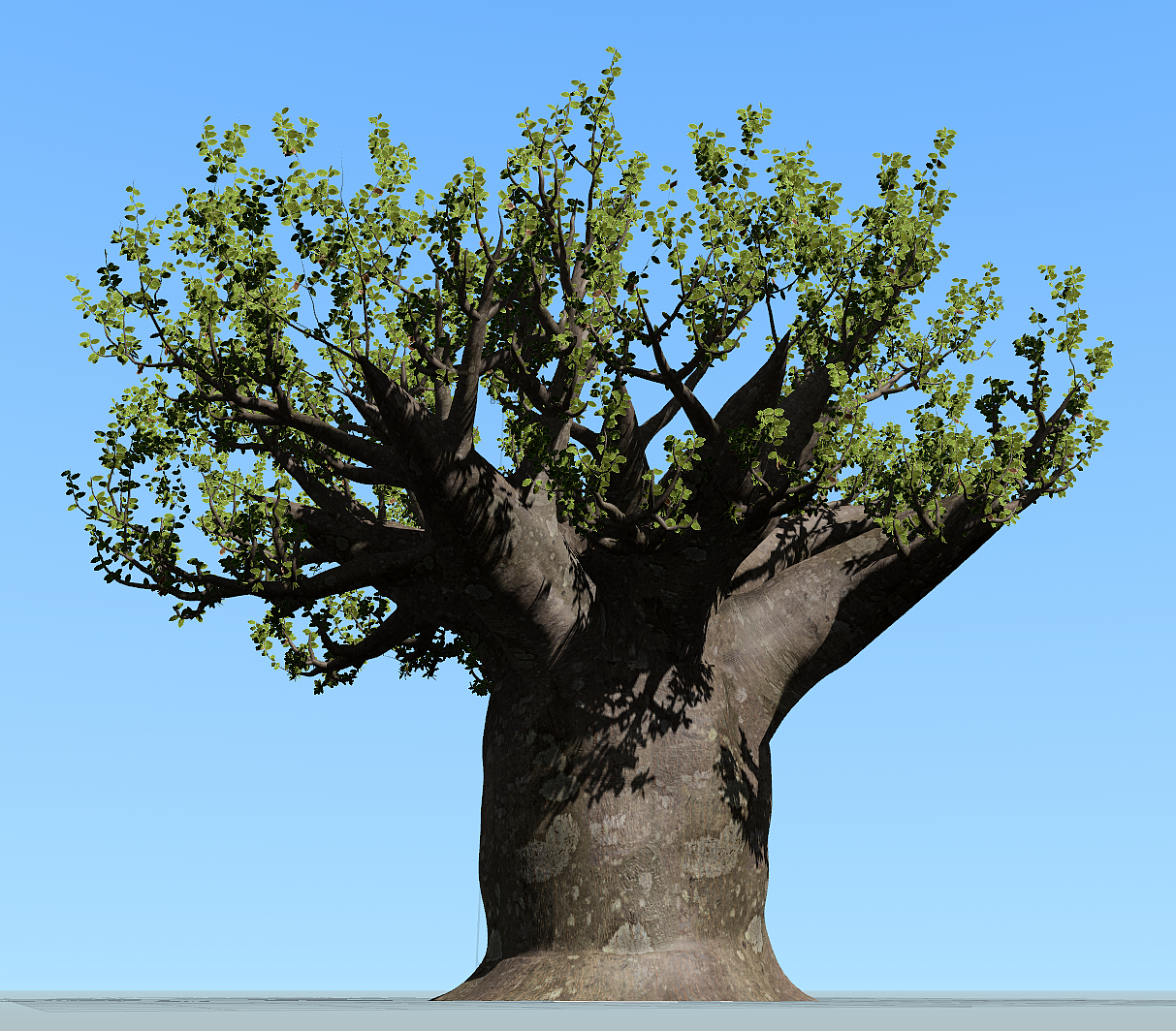 SpeedTree-猴面包树建模（图ZMzU5MTU2ODcy） - 建筑/空间 - 站酷设计师Dinger丶原创素材 - 站酷ZCOOL