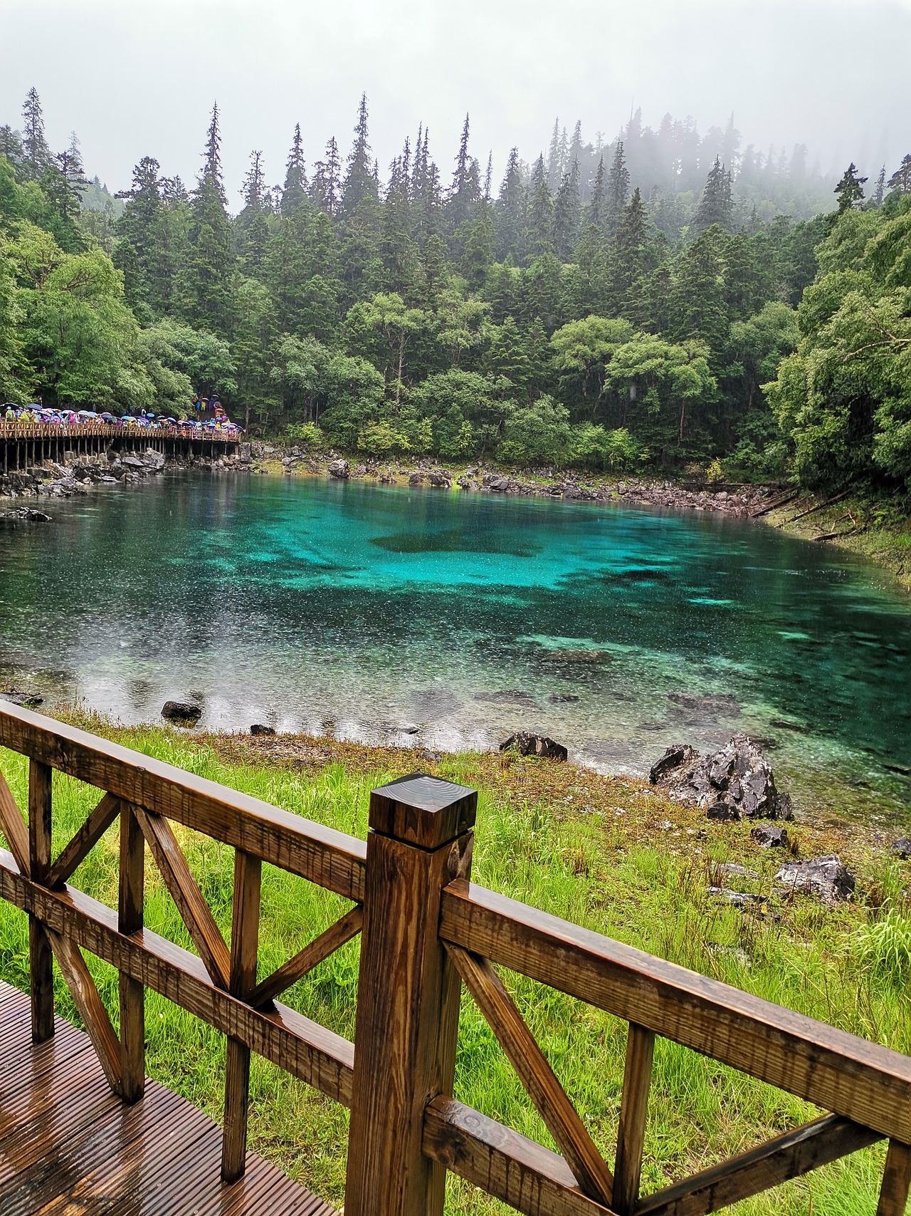 五彩缤纷九寨沟（上）
