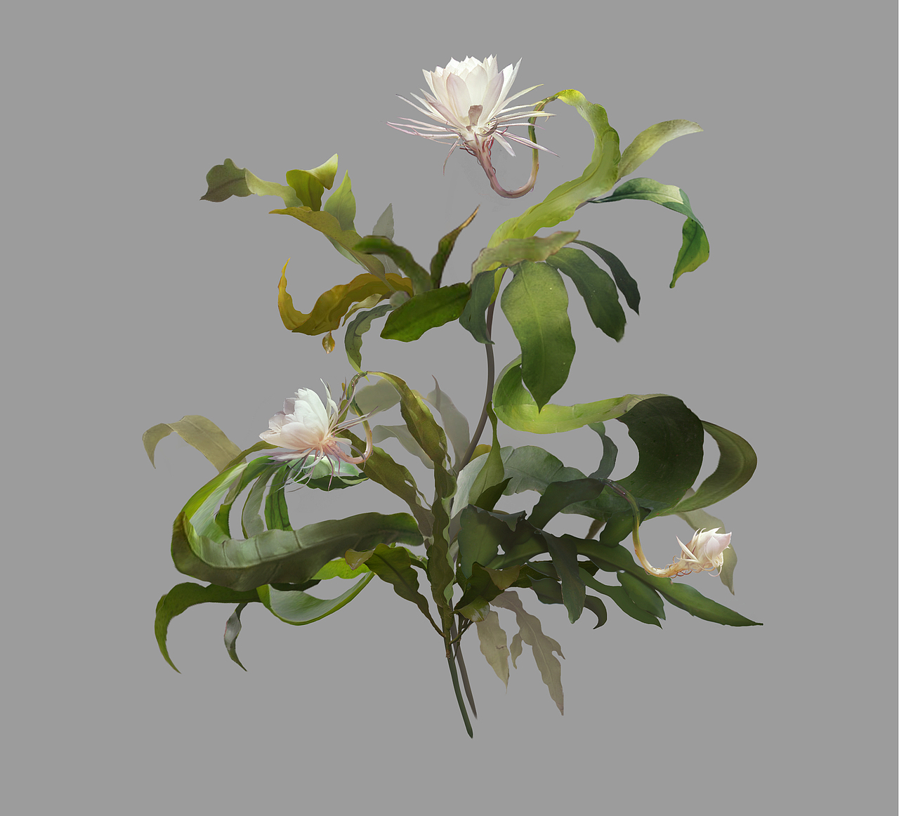 电视剧《一千零一夜》（图ZMzAyNzI1MzY4） - 设定/分镜 - 站酷设计师風級玖原创素材 - 站酷ZCOOL