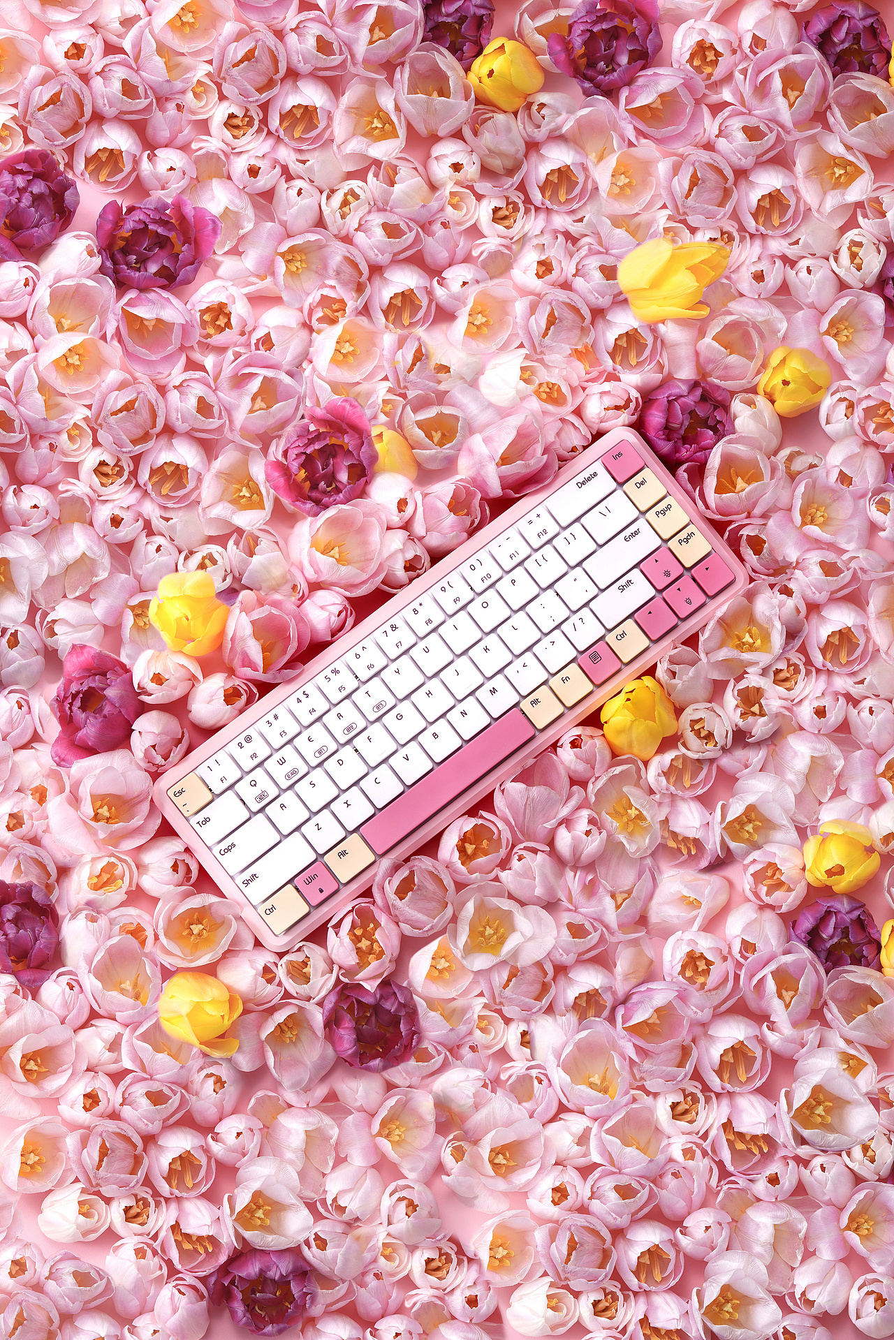 键盘创意简约场景摄影