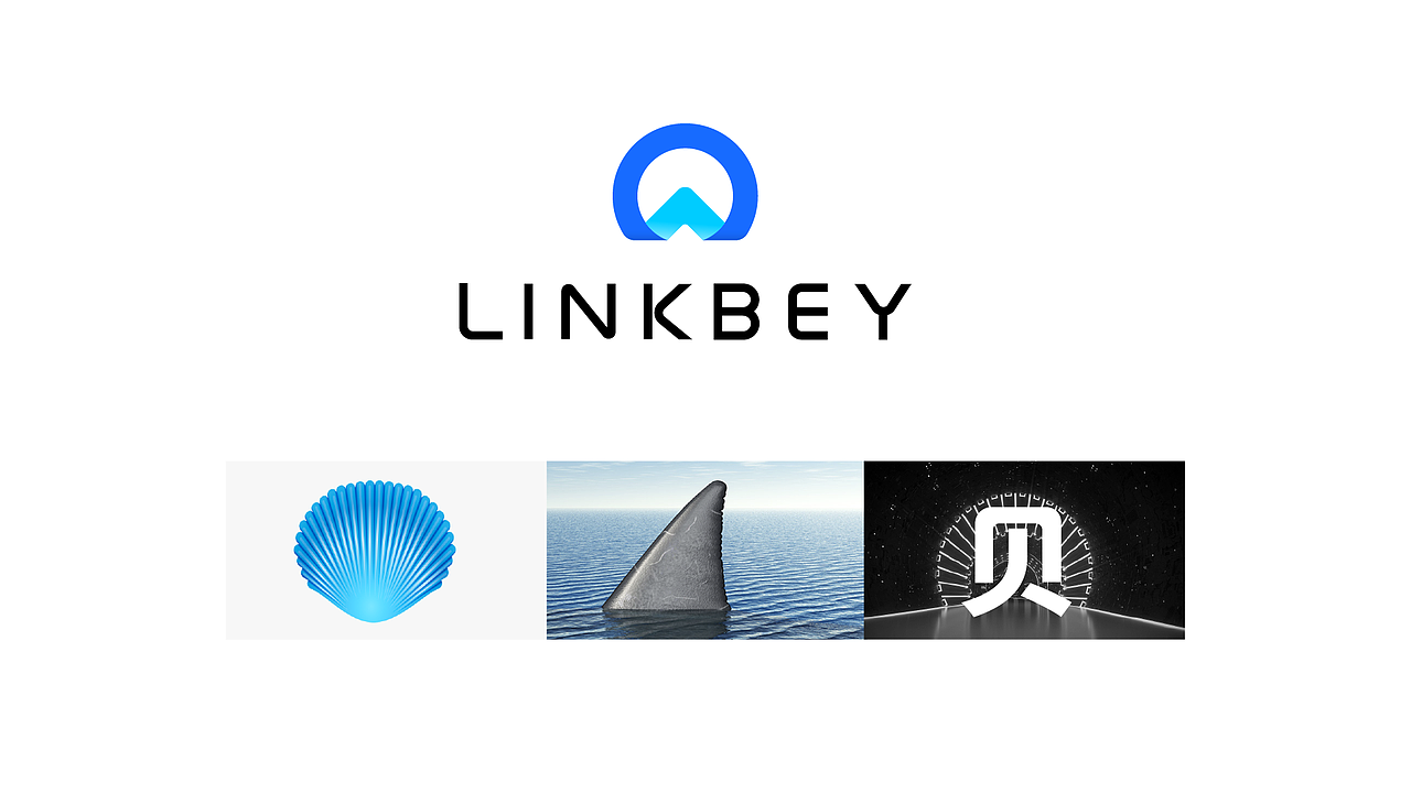 直径设计 X 领贝科技LINKBEY(图ZMzMwNjQzMjA0) - 品牌 - 站酷设计师直径设计原创素材 - 站酷ZCOOL