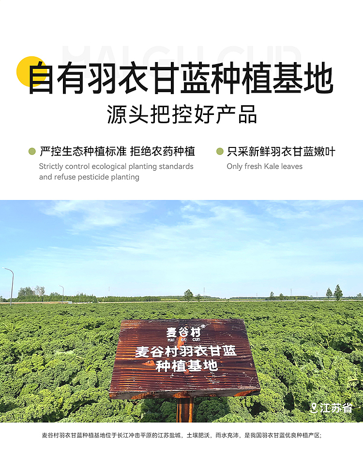 生椰羽衣甘蓝-详情页