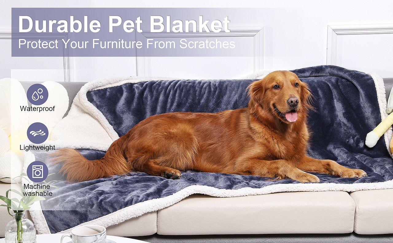 宠物产品实拍 宠物毯子  亚马逊产品