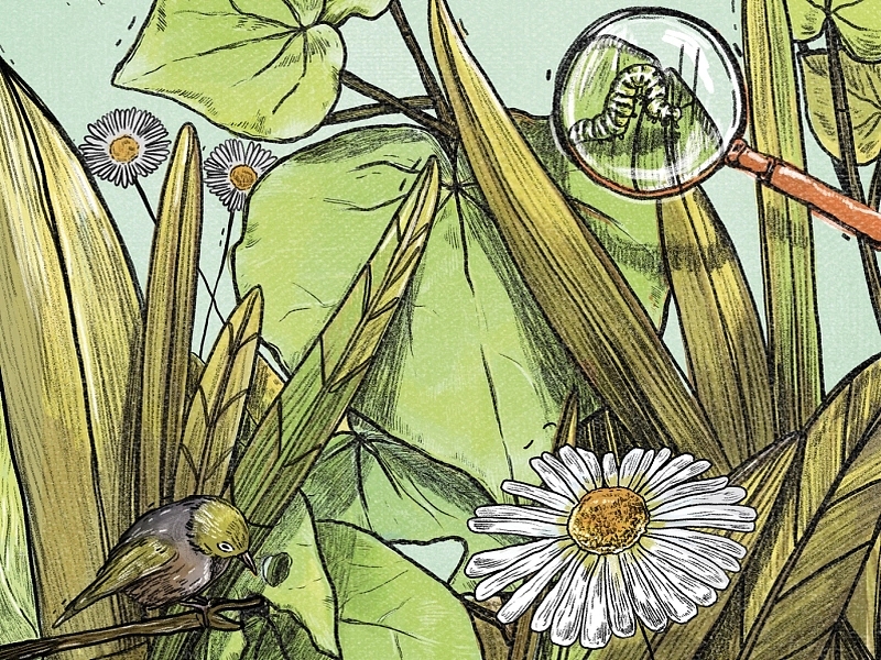 类型混合插画（图ZMzMxNzkwODg4） - 商业插画 - 站酷设计师周咘咘原创素材 - 站酷ZCOOL