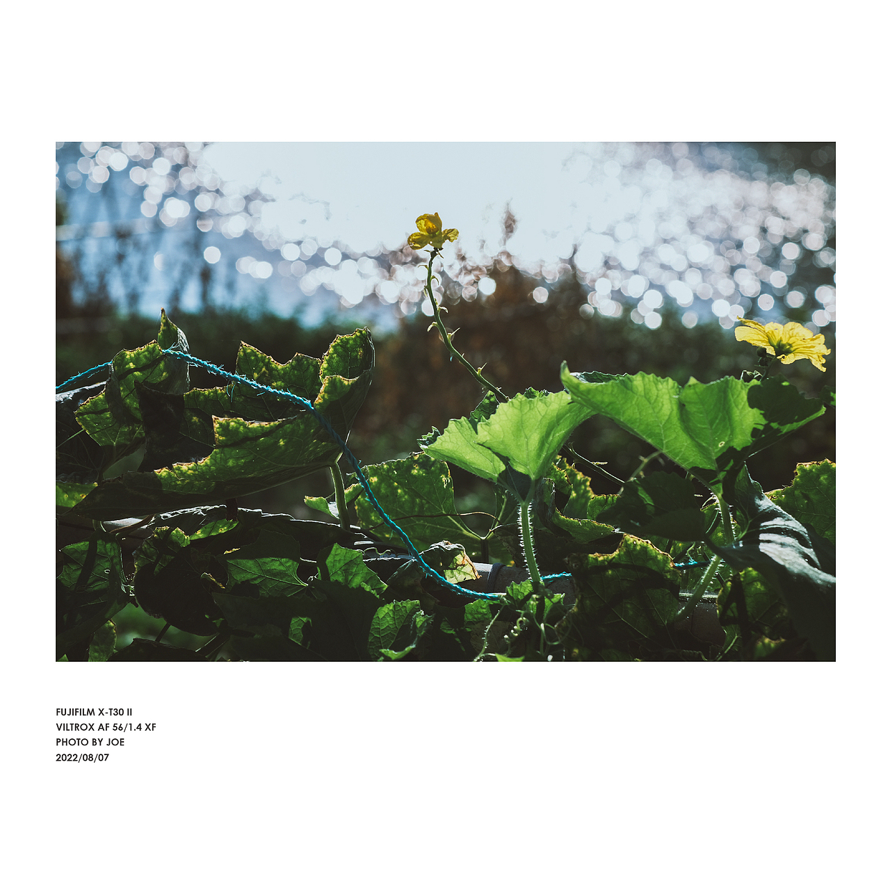 会有一束光，慢慢照向你