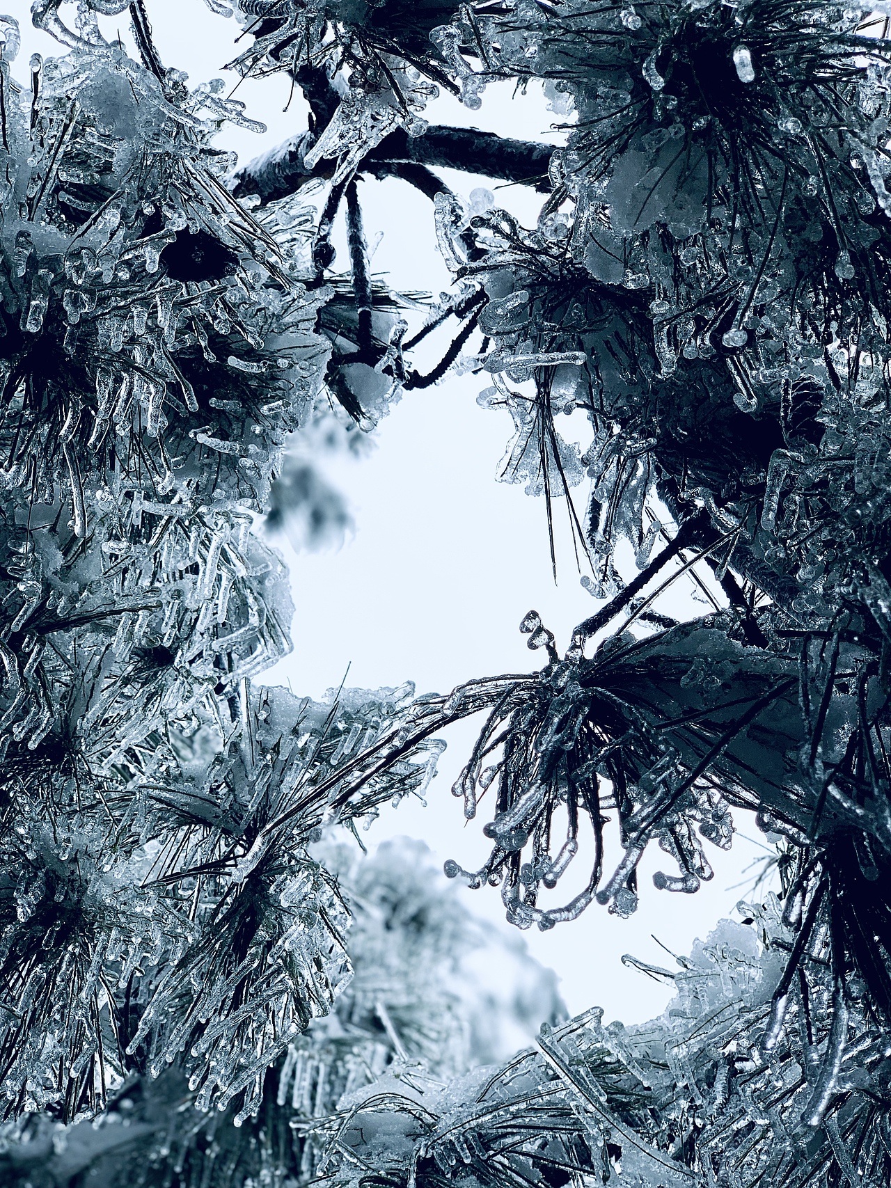 我眼中的冰雪世界（图ZMzI4NjEzNTk2） - 风光摄影 - 站酷设计师欧进辉原创素材 - 站酷ZCOOL