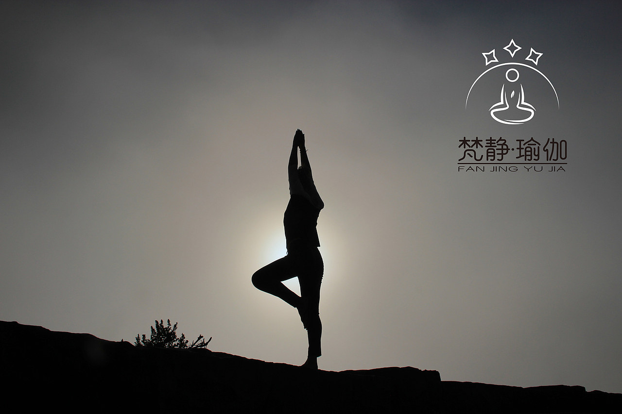 【梵静瑜伽】瑜伽logo设计