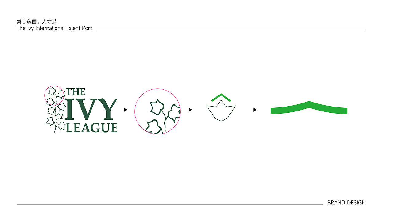 常春藤国际人才港LOGO设计
