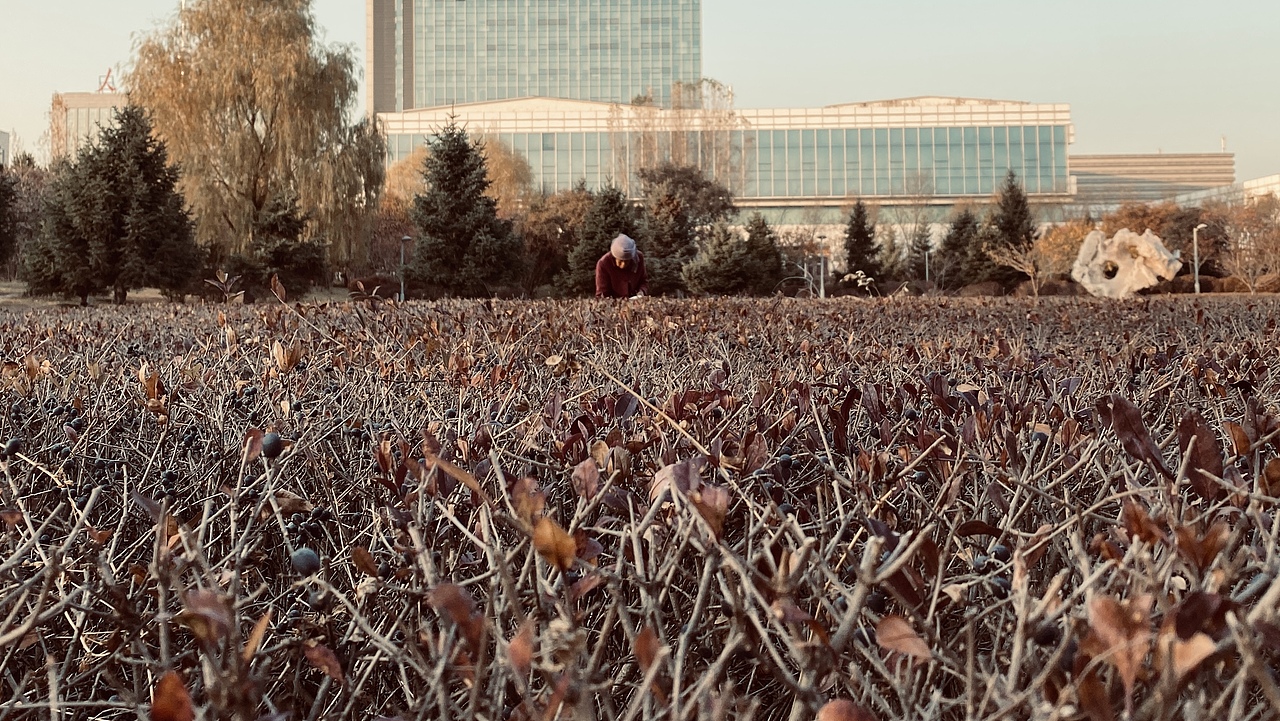 塞上绿洲,美丽朔州