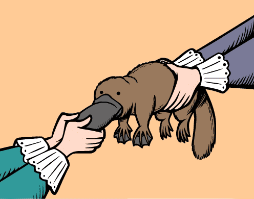 下金蛋的鸭嘴兽