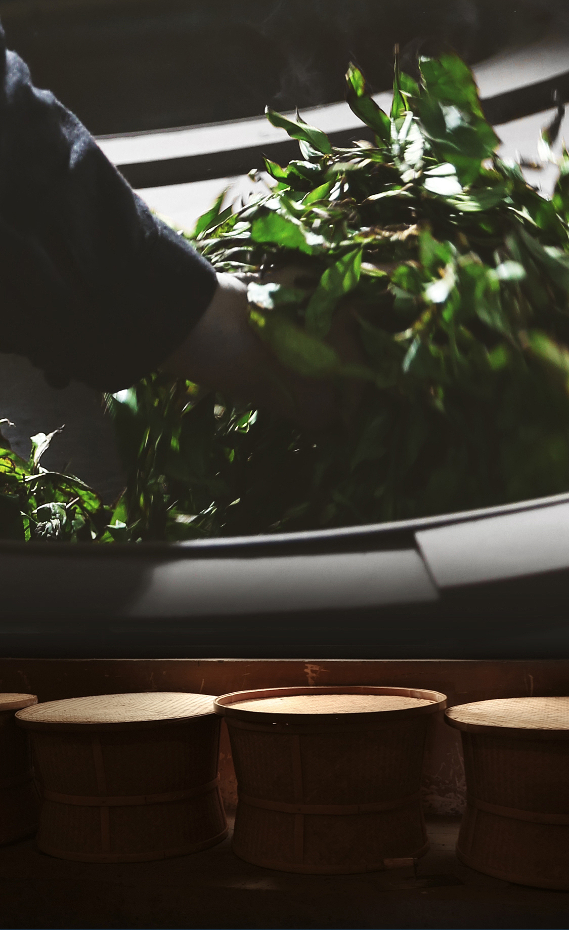 御鉴曦瓜 | 长图