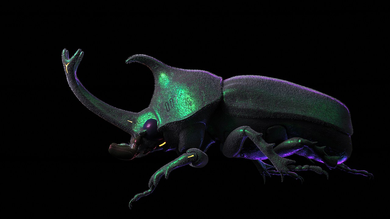 金色代号007甲虫