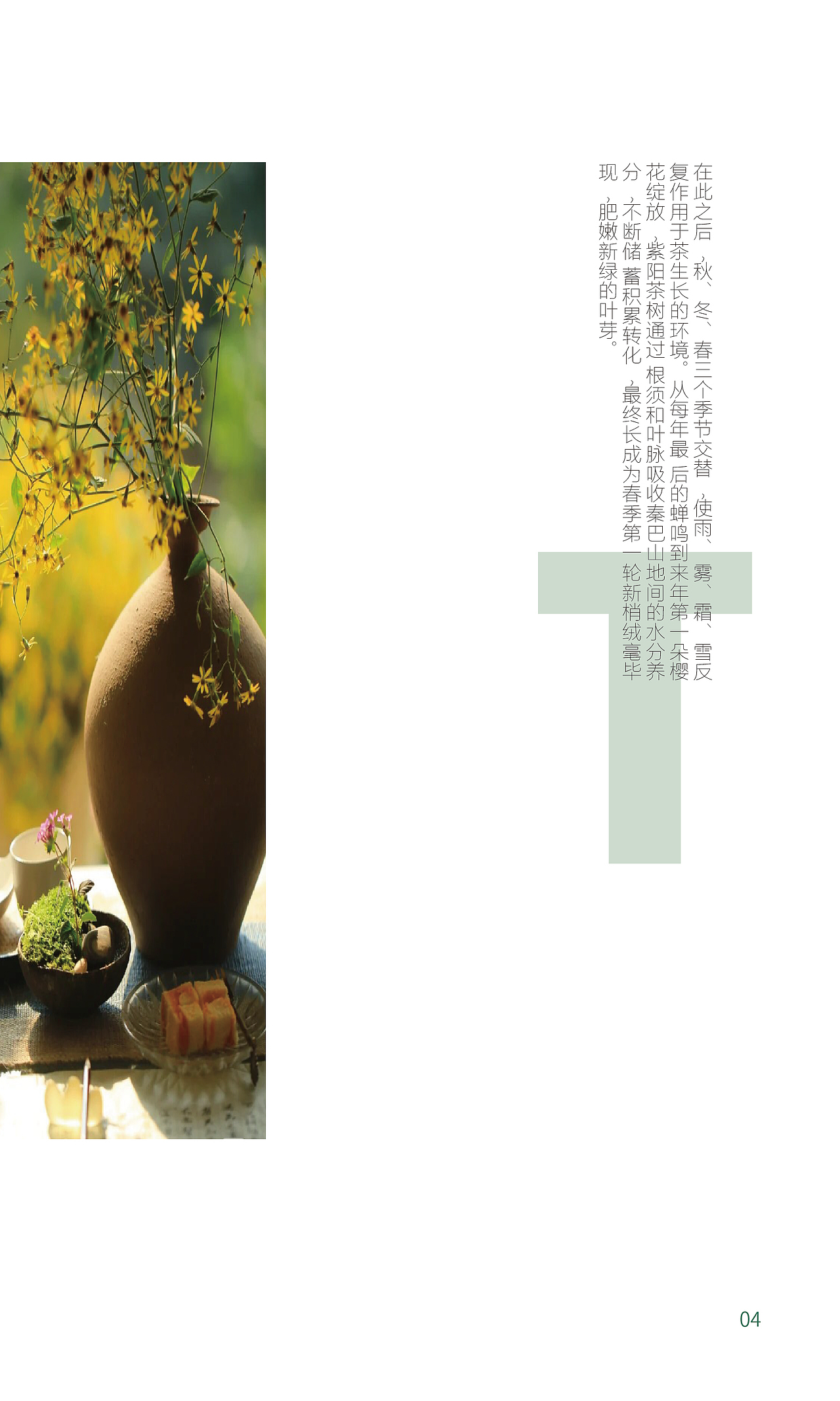 安康富硒茶宣传册设计