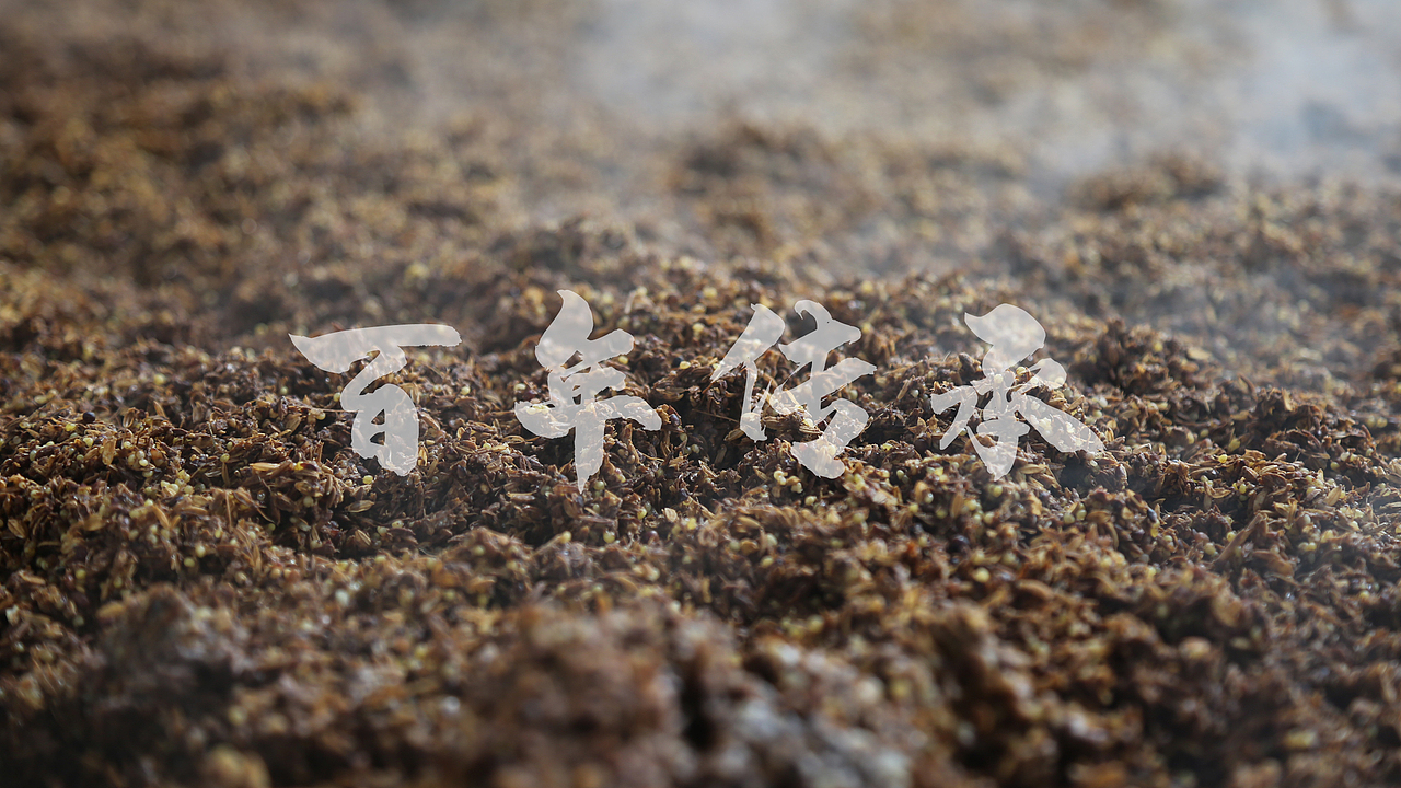 伏羲生地 仇池古国—仇池酒