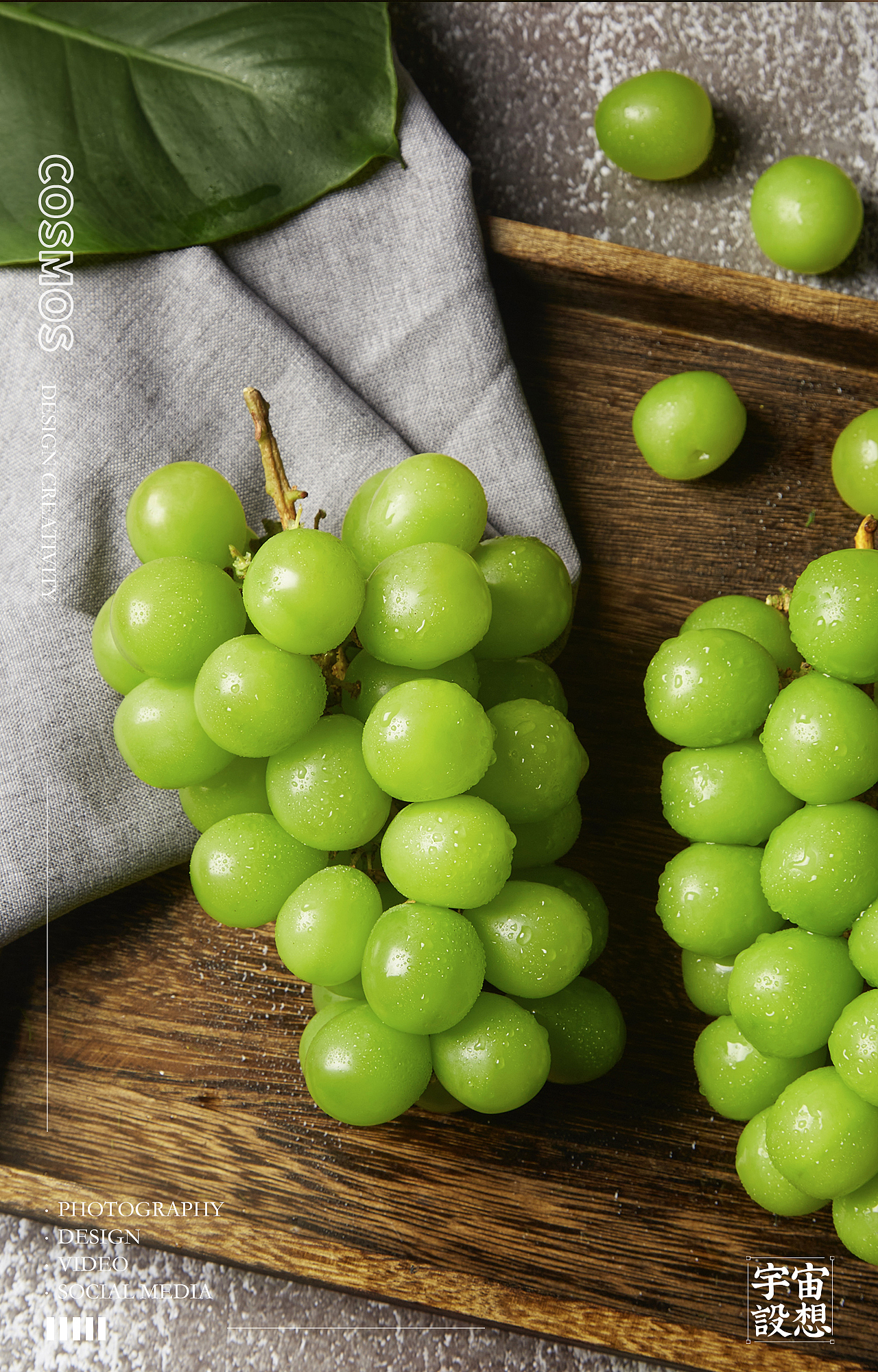 水果系列 葡萄 X 宇宙设想COSMOS