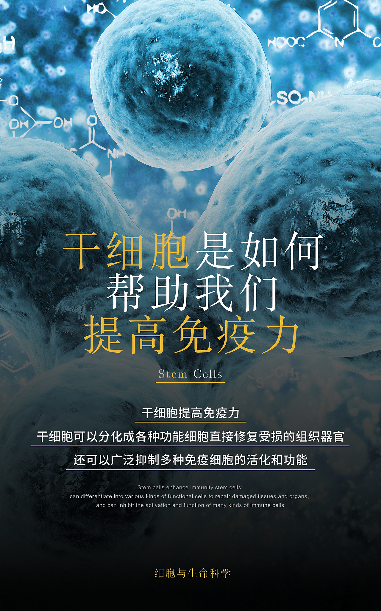 医疗行业项目宣传单张