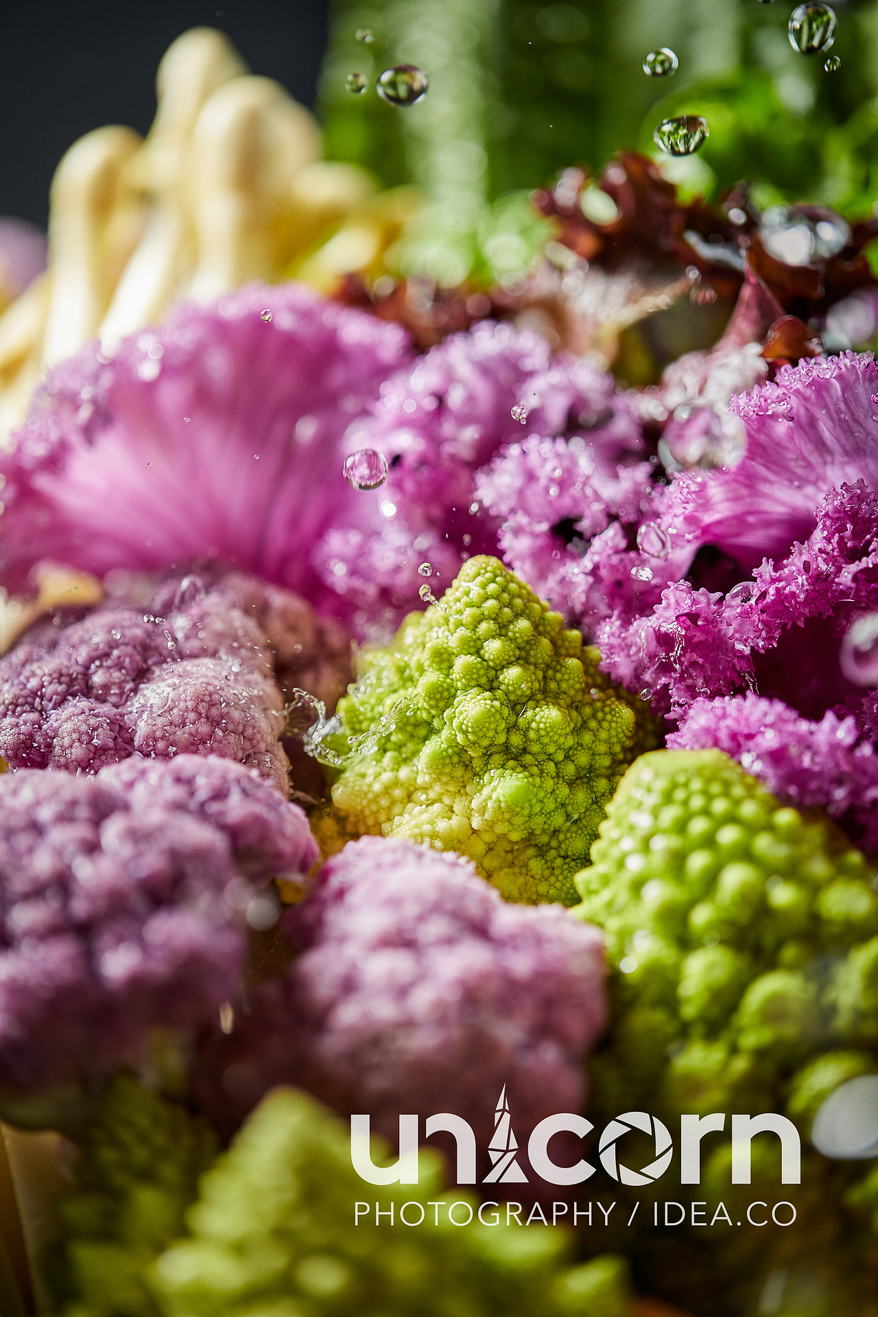 美食摄影 | 袁老四