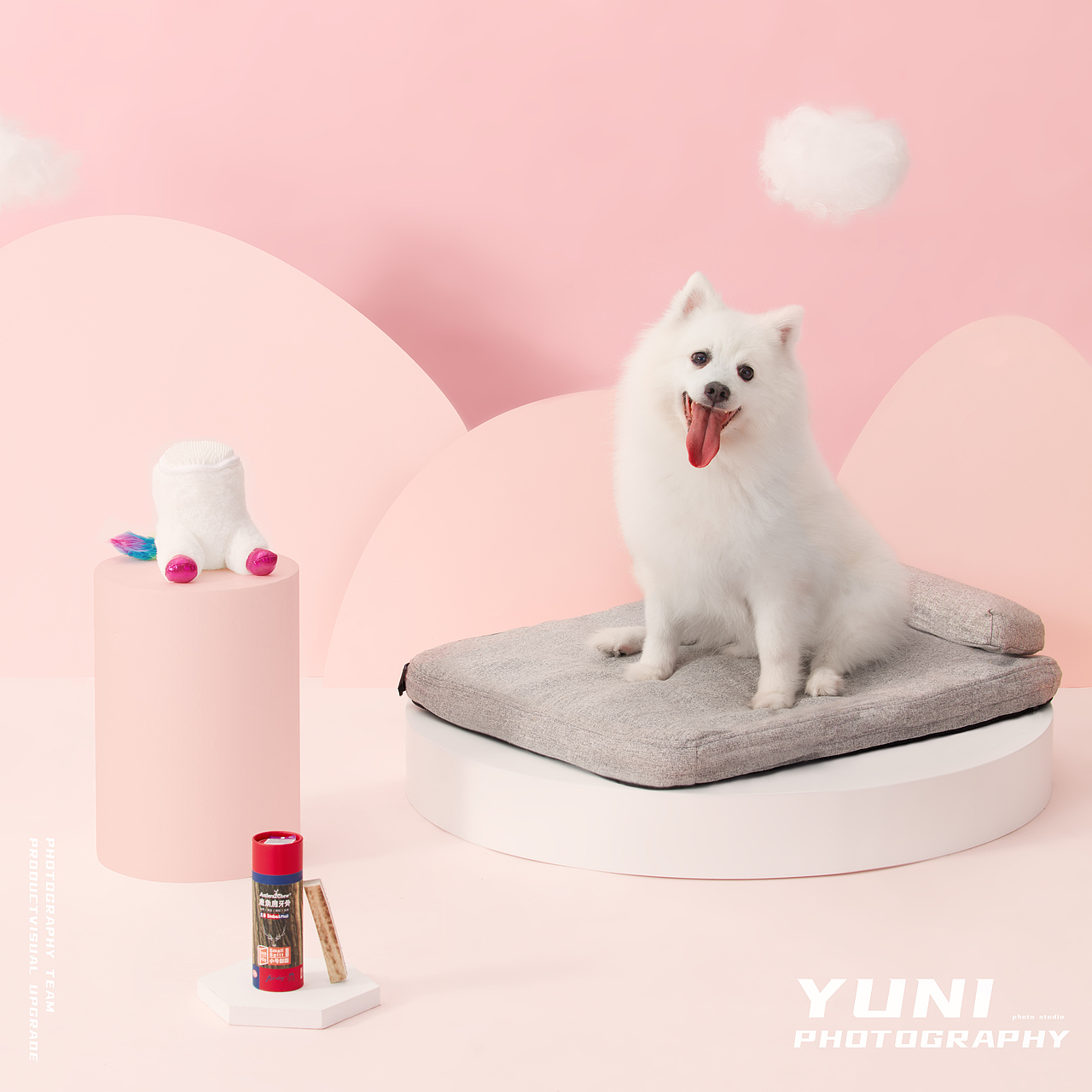 天猫.猫享自营 ✖ YuNi  宠物频道合集