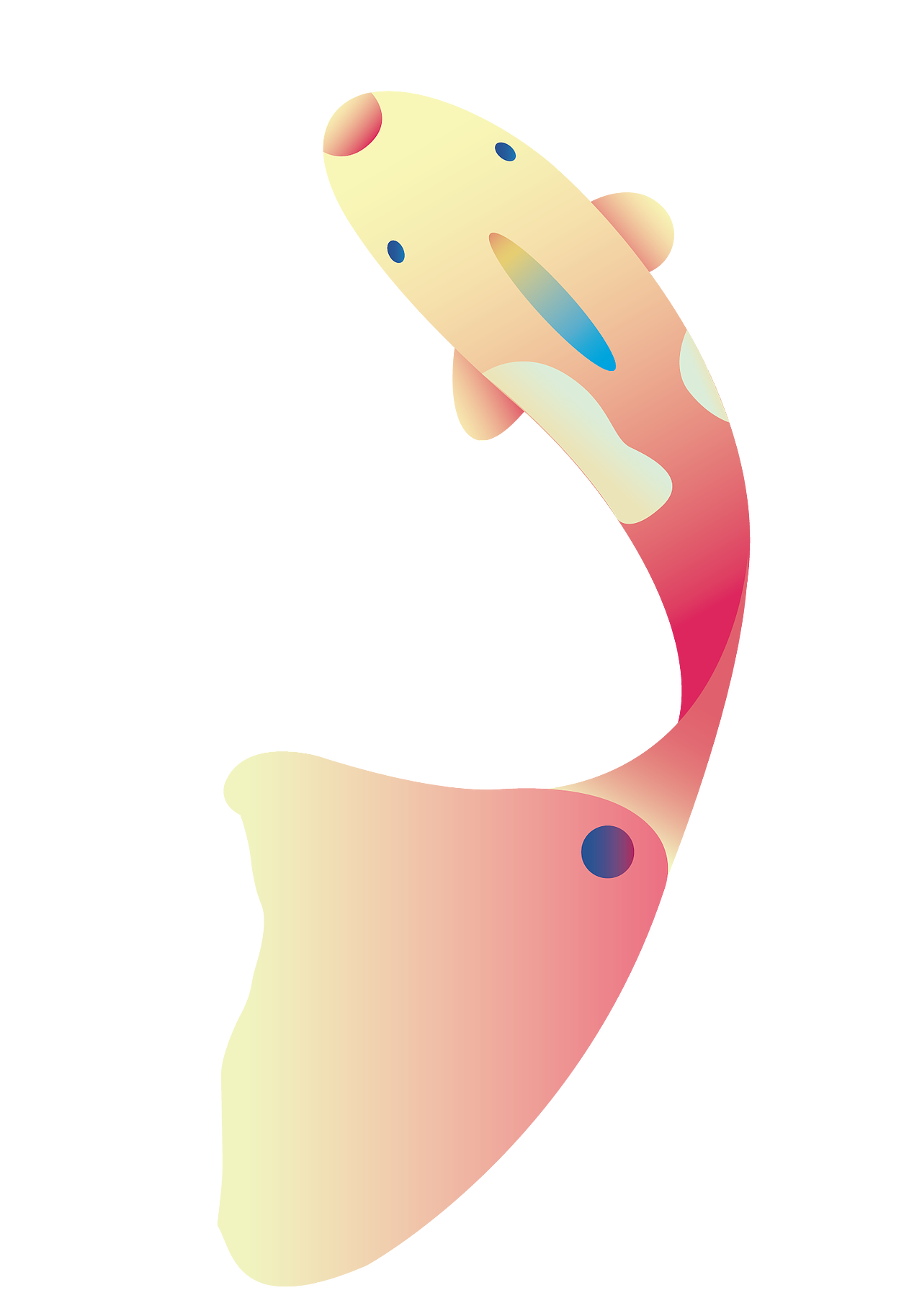 鲤鱼（部分图）