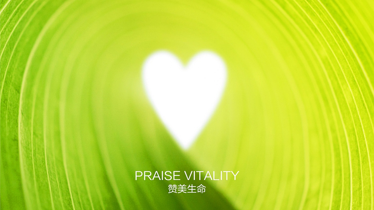 龙大美食食品品牌形象设计