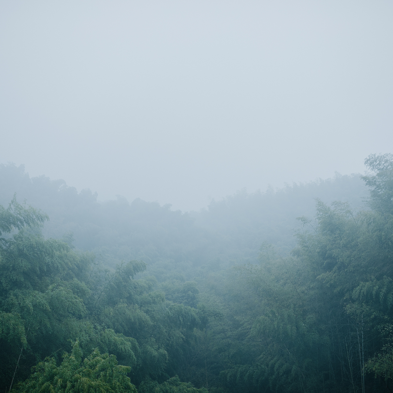 那就去径山寺喝杯茶吧