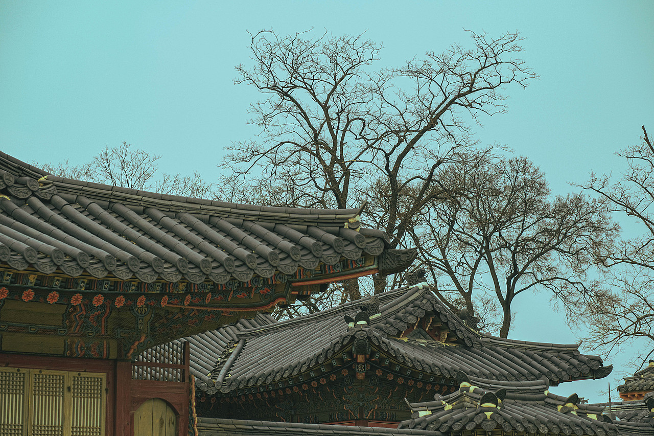 【城市街拍VOL.14】韩国首尔景福宫（图ZMzY2OTcyNzYw） - 风光摄影 - 站酷设计师阿蚁街头摄影原创素材 - 站酷ZCOOL