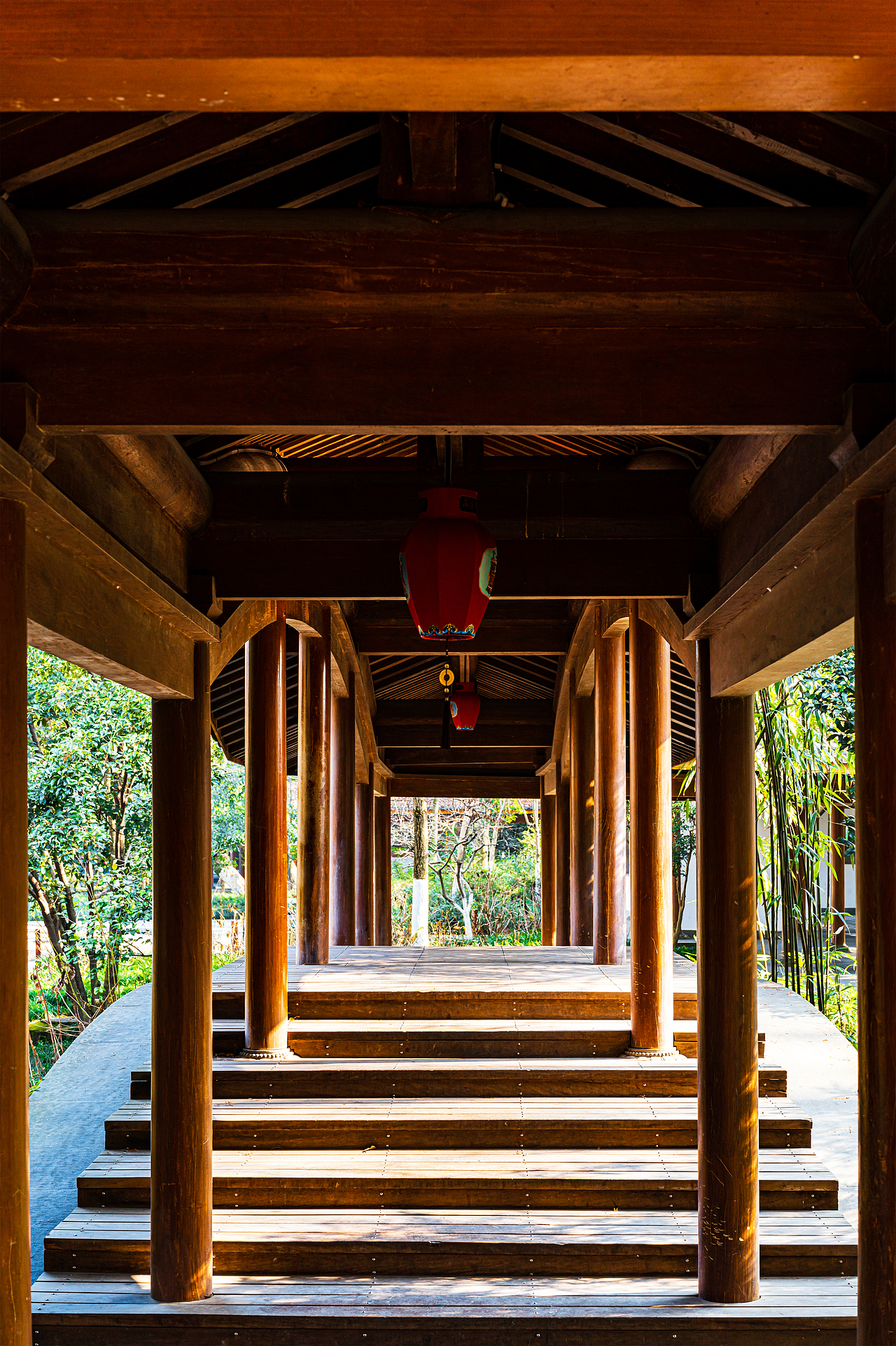 【风光摄影】元旦的西湖·春光篇