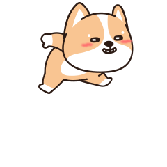 柯基十一日常篇第二弹