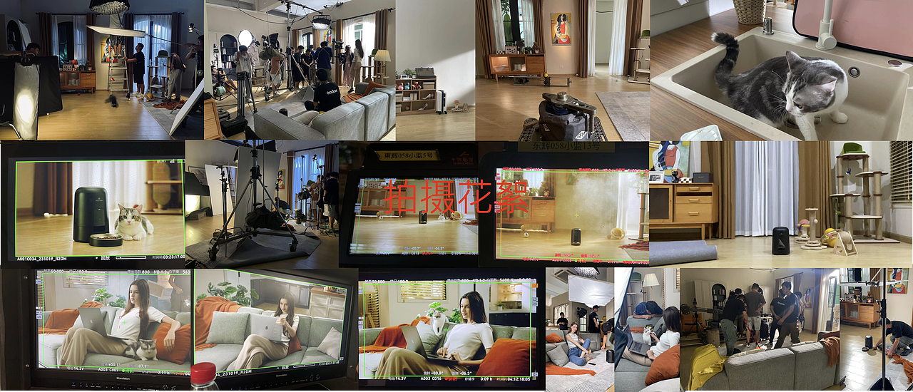 Petlibro宠物喂食器