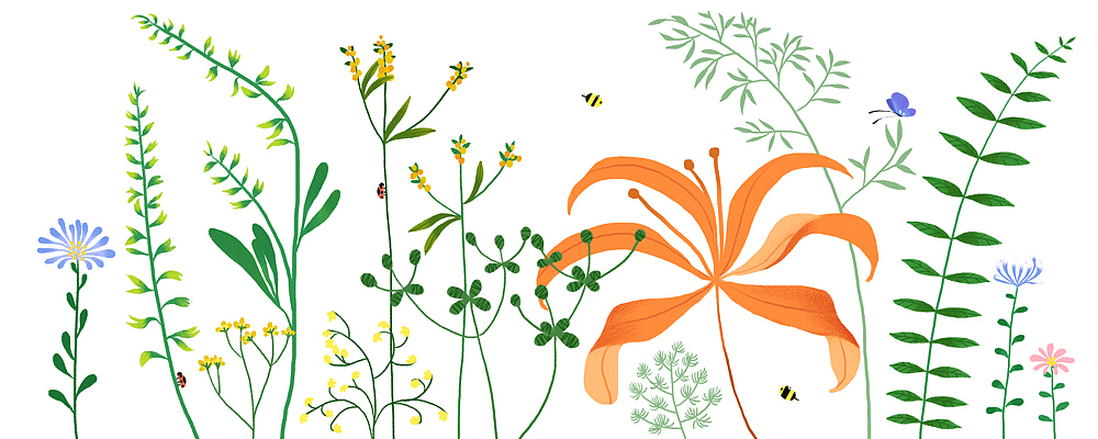 花卉图。（图ZMzEwNTgyNDA0） - 商业插画 - 站酷设计师stellejuno原创素材 - 站酷ZCOOL