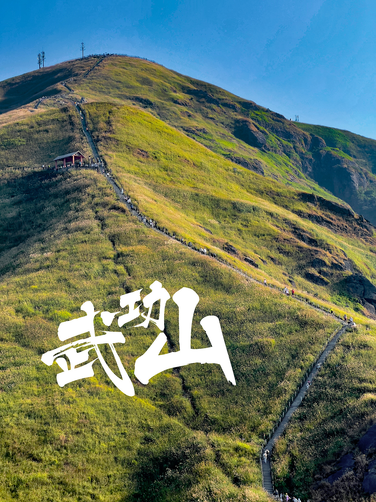 近期的几个小创作