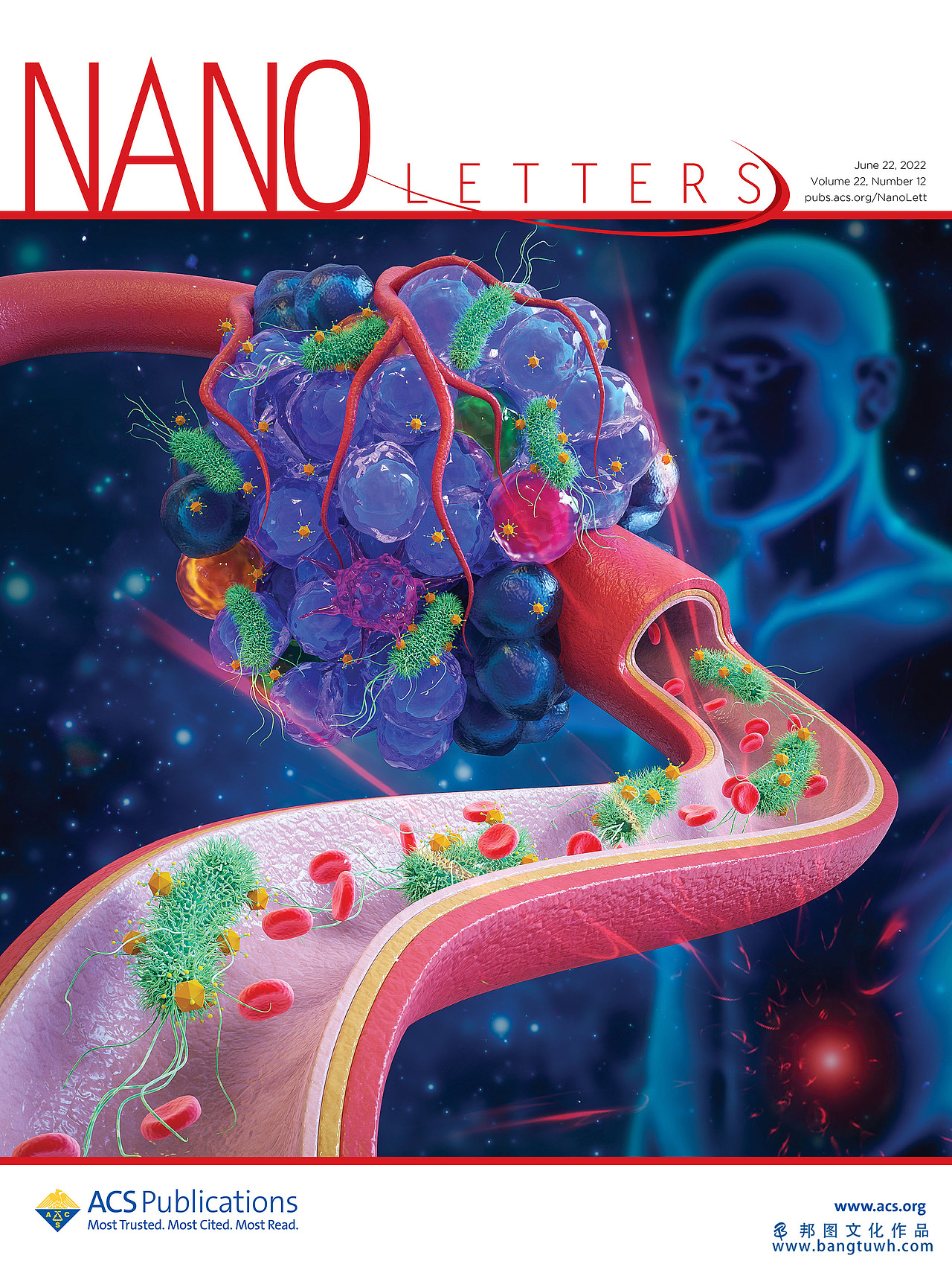 科研画图 学术期刊封面作品