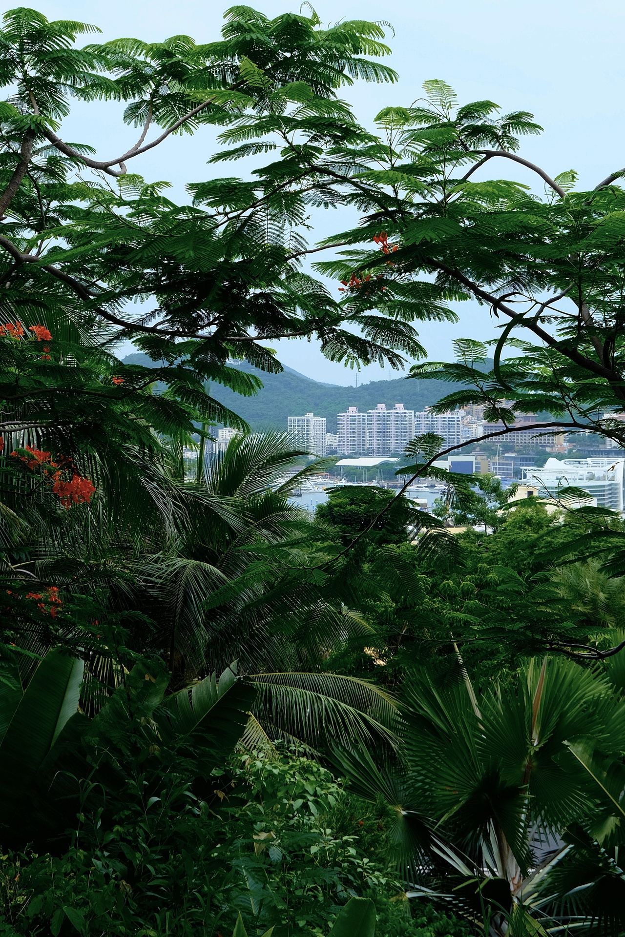 香港和三亞的兩種藍(lán)色（圖ZMzUzMjczMTI4） - 風(fēng)光攝影 - 站酷設(shè)計(jì)師鬧海小樹(shù)原創(chuàng)素材 - 站酷ZCOOL