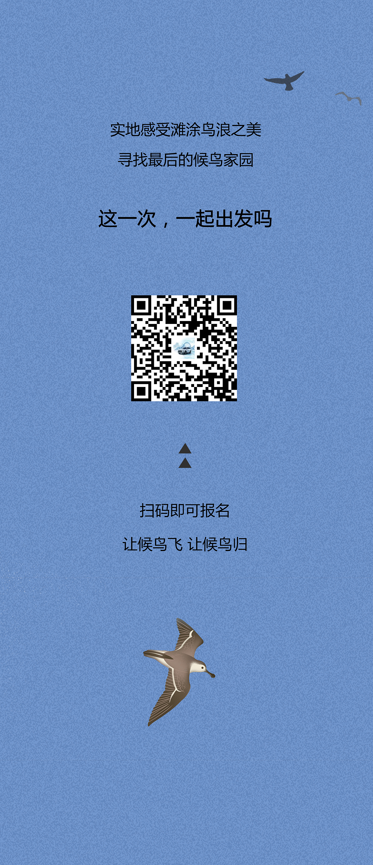 比亚迪守护海滨湿地行动长图(微信公众号手绘长图)