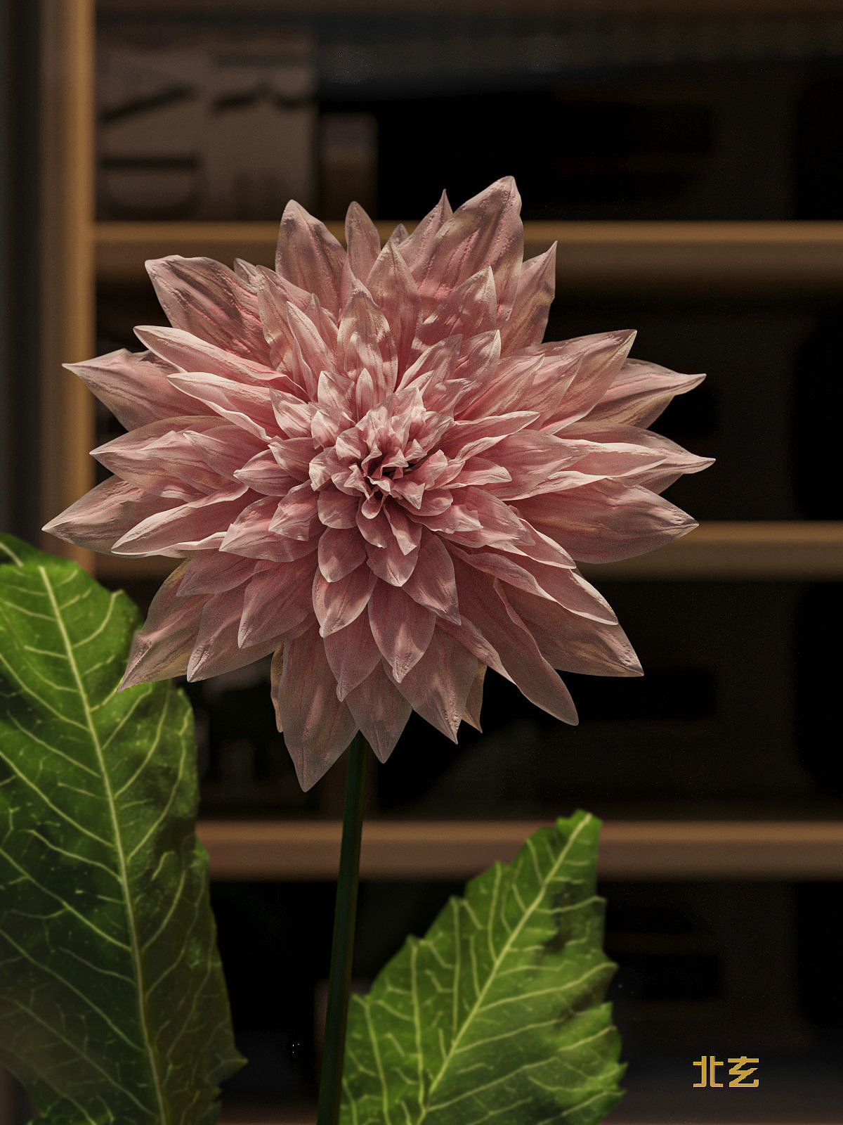 上海北玄/北玄教育/夜景餐厅