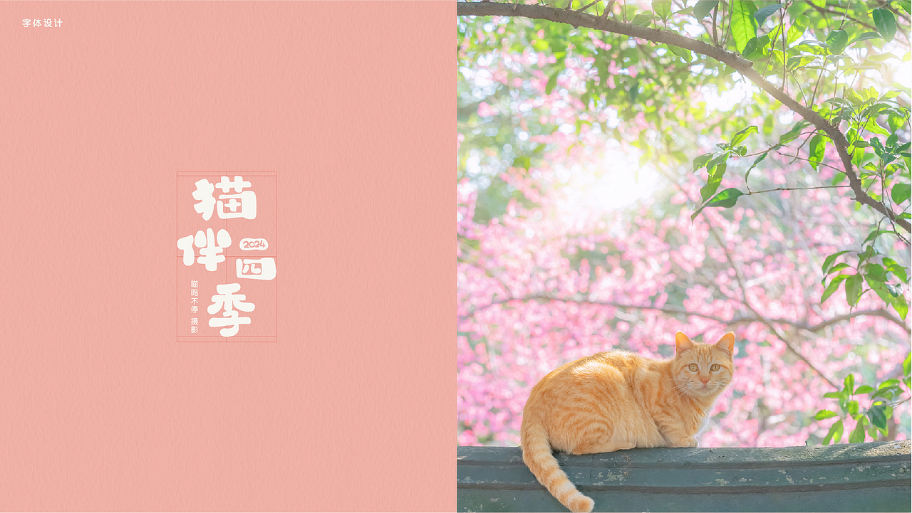 喵呜不停日历-包装设计 22-24年设计（图ZMzU3NTQ2MjU2） - 包装 - 站酷设计师Elvira辰原创素材 - 站酷ZCOOL