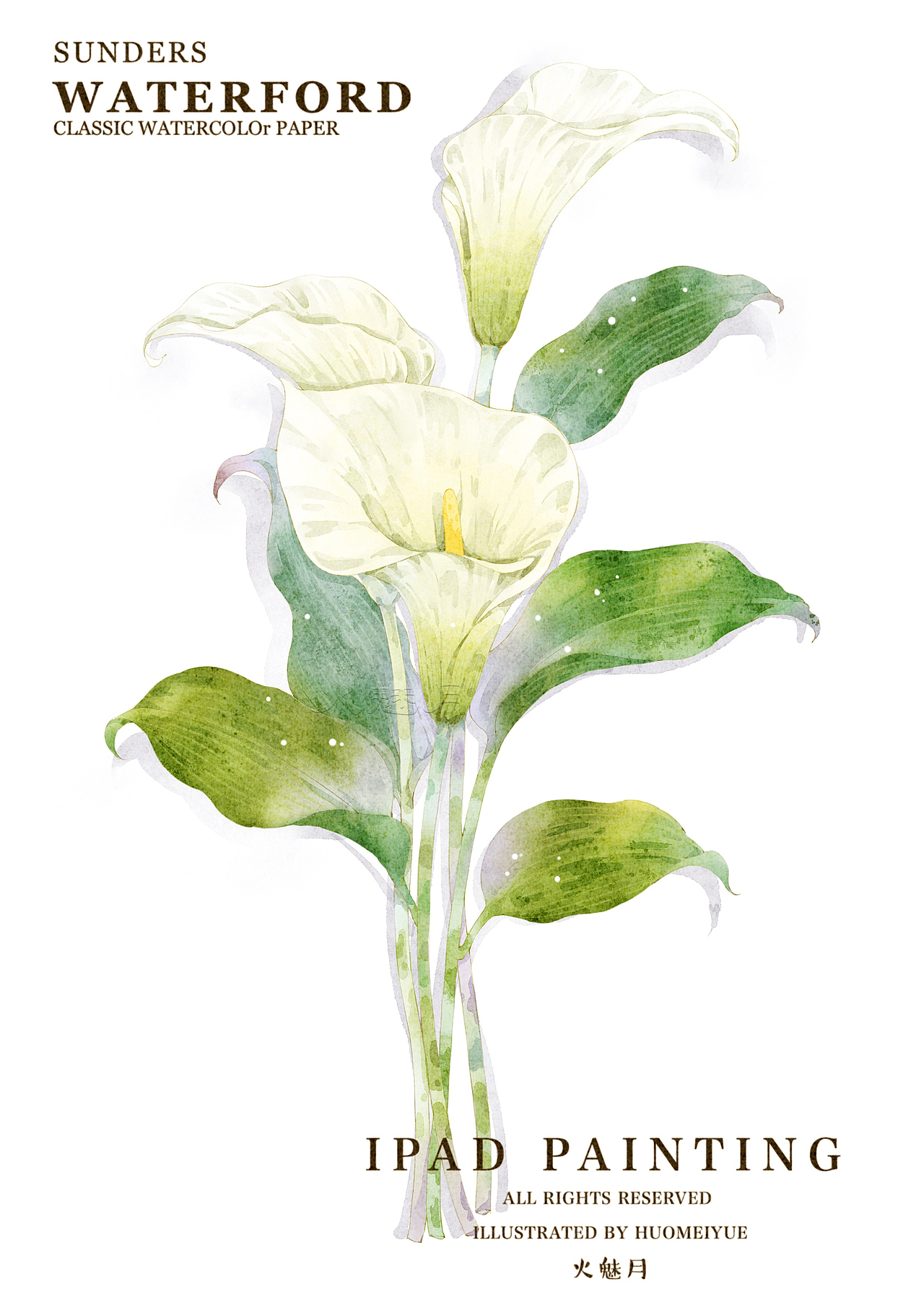 水彩花卉合集（图ZMzY1NDg1NjAw） - 商业插画 - 站酷设计师火魅月月原创素材 - 站酷ZCOOL