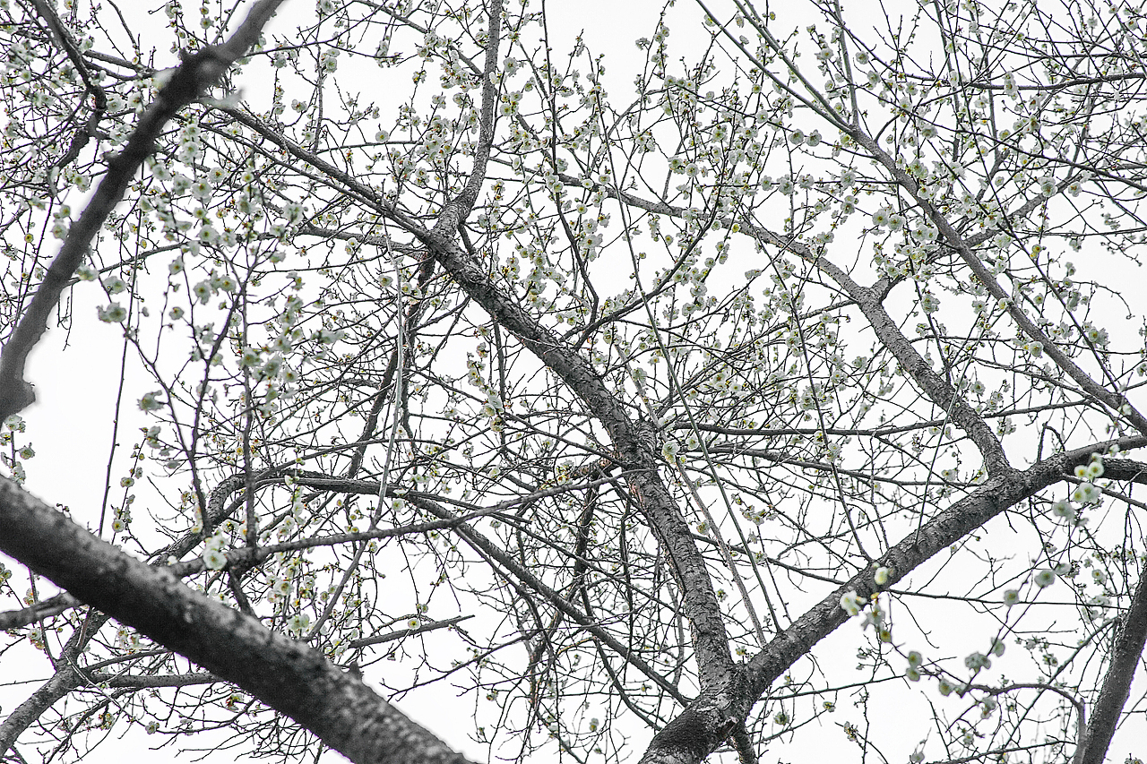 城市风貌系列6（图ZMzYzMTQ2MDI0） - 风光摄影 - 站酷设计师莫潘原创素材 - 站酷ZCOOL