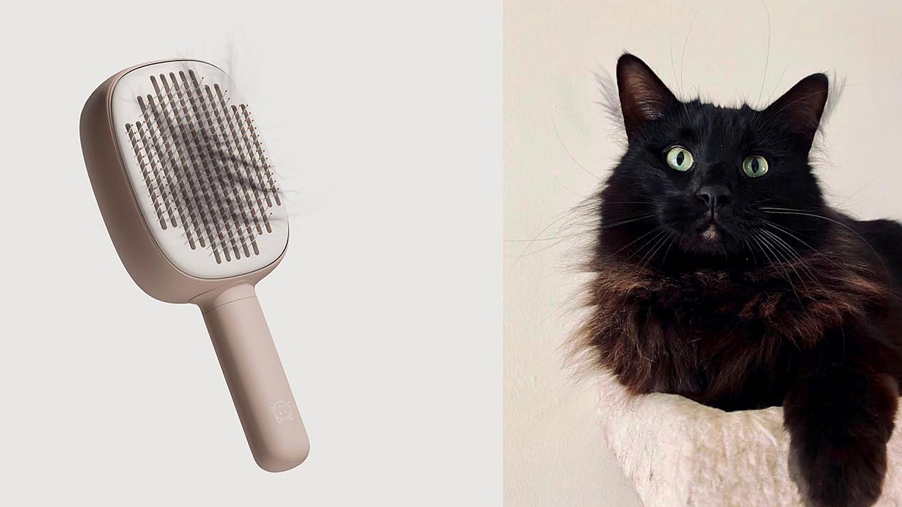 猫梳粘毛器