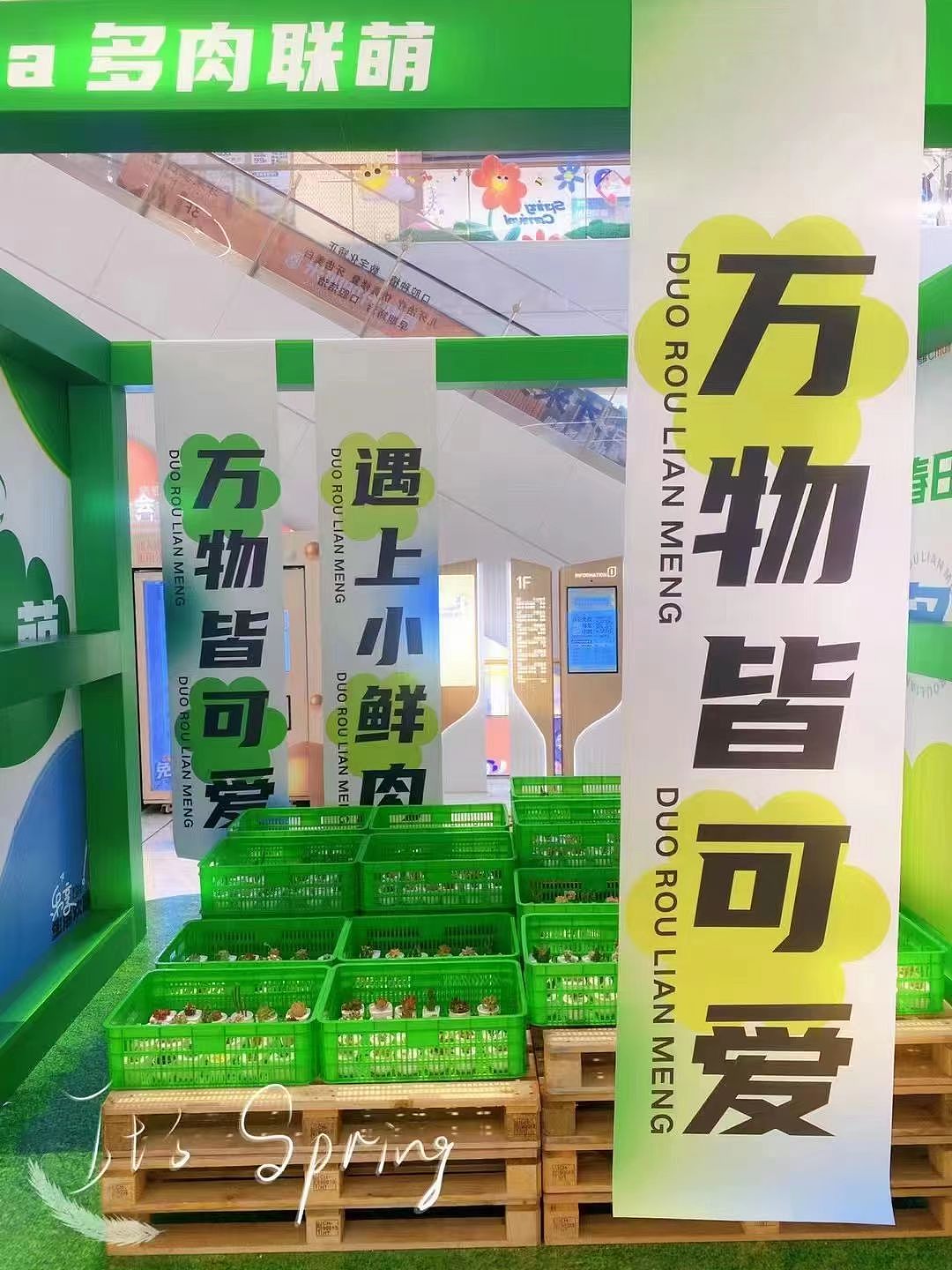 旭輝商業(yè)中心中庭春日多肉DP點(diǎn)打造/中庭DP點(diǎn)設(shè)計(jì)（圖ZMzM2Nzk4MDI4） - 其他三維 - 站酷設(shè)計(jì)師乖萌小柴犬原創(chuàng)素材 - 站酷ZCOOL