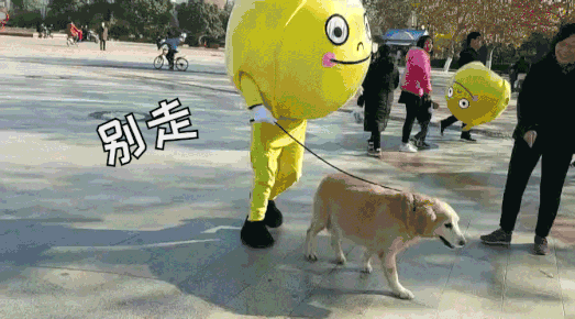 西柚港购物中心品牌创建+公关传播