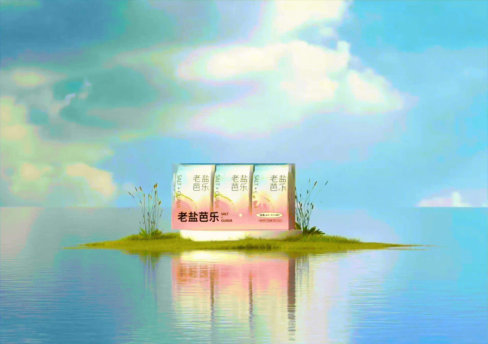 【盐力觉醒·老盐冻干水果饮】包装设计（图ZMzEwNjk1MzM2） - 包装 - 站酷设计师Averything原创素材 - 站酷ZCOOL