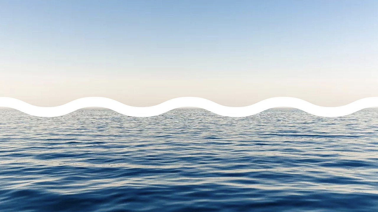 道森能源丨Dolphin